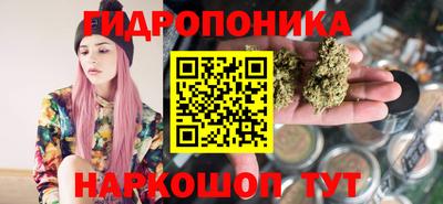apvp Гусев