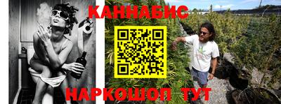 apvp Гусев