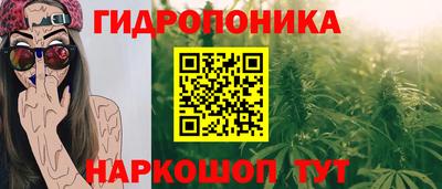 PSILOCYBIN Гай