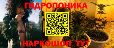 apvp Гусев