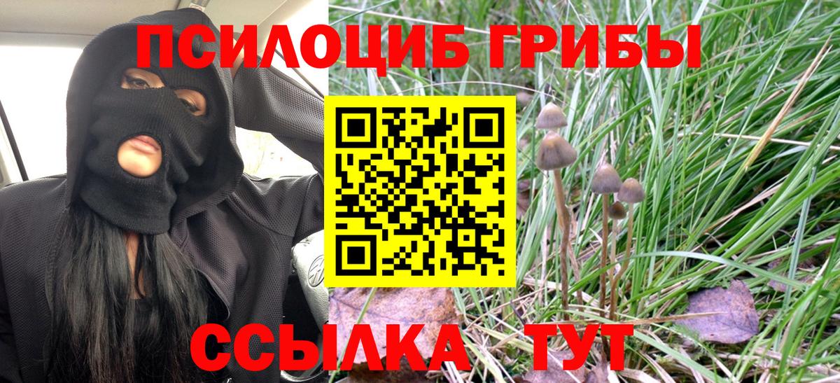 закладки  Галлюциногенные грибы Psilocybine cubensis  Вход с VPN  Донецк 